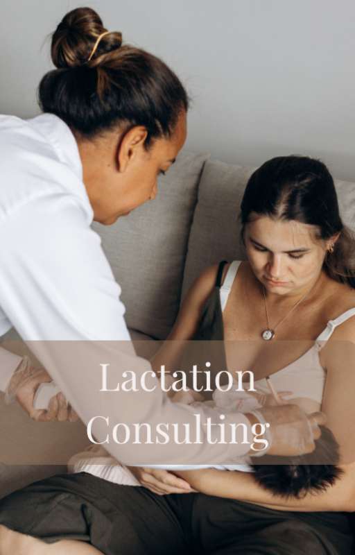 Lactation Consulting (1)
